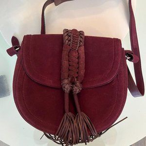 Altuzarra Suede Ghianda Bag  medium hobo